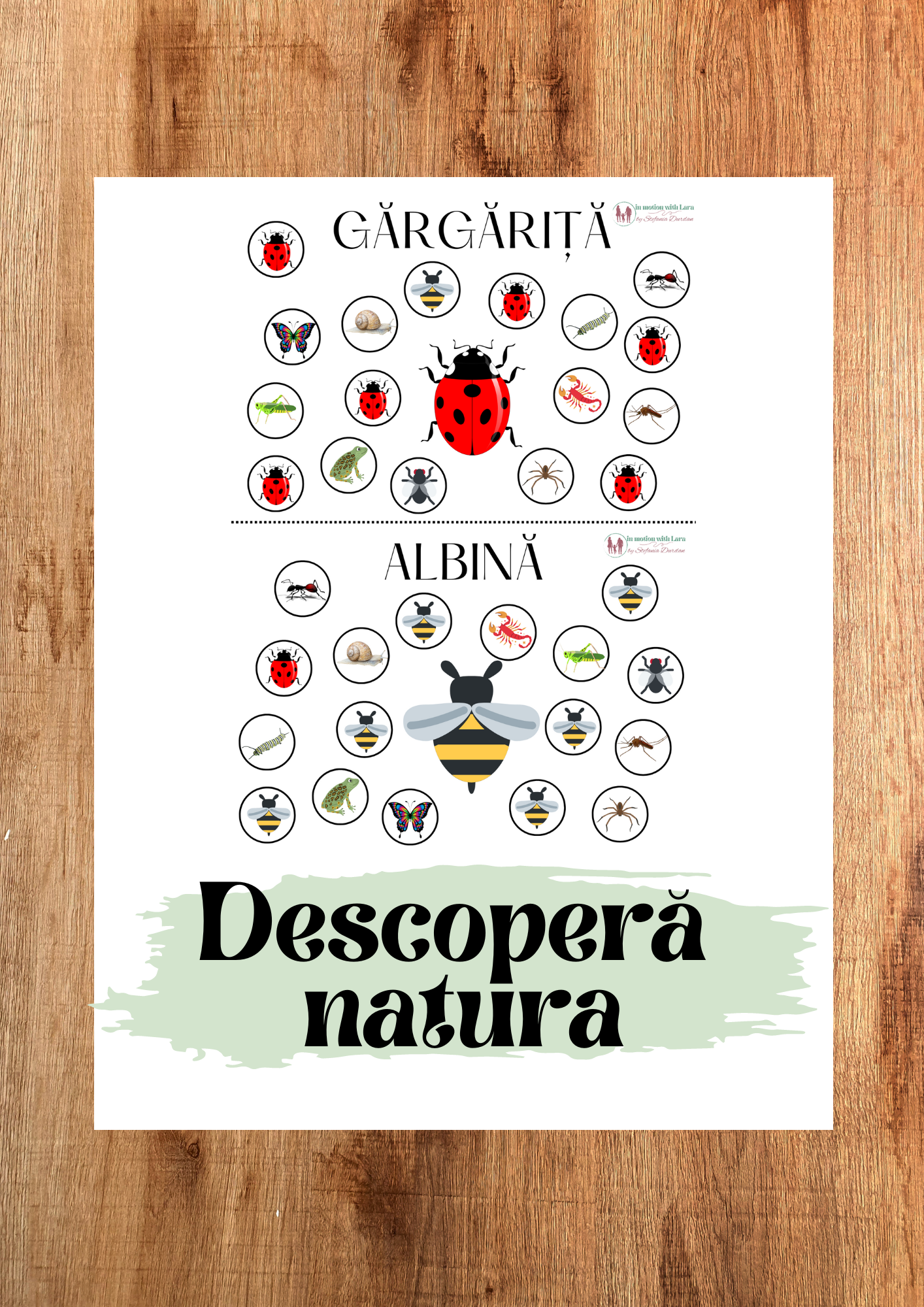 Fișă de lucru - Descoperă natura - 12 elemente 3 Fișă de lucru - Descoperă natura - 12 elemente