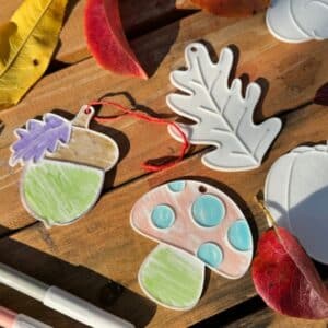 Set 5 forme de toamnă 3D pentru colorat (dovleac, ghindă, frunză, veveriță și ciupercă) reutilizabile și educative pentru copii 11 Set 5 forme de toamnă 3D pentru colorat (dovleac, ghindă, frunză, veveriță și ciupercă) reutilizabile și educative pentru copii - imagine 5