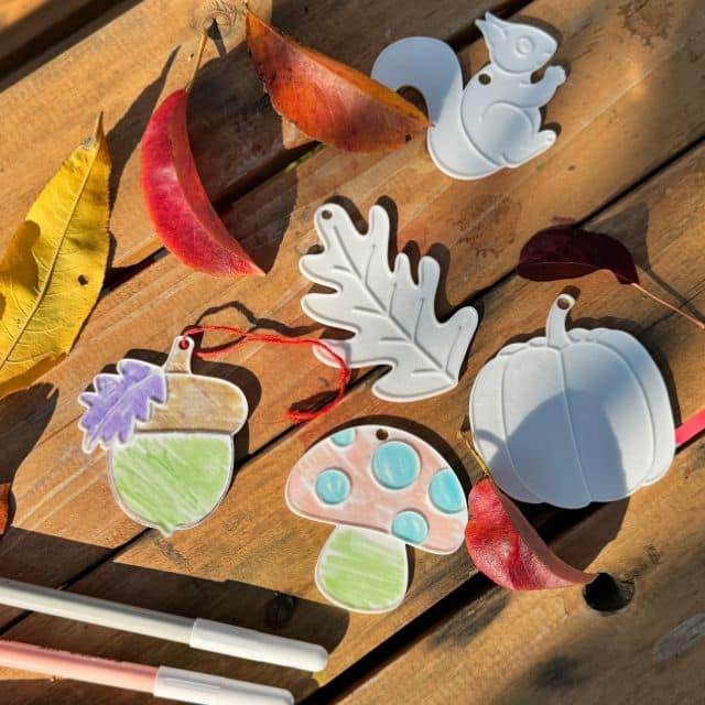 Set 5 forme de toamnă 3D pentru colorat (dovleac, ghindă, frunză, veveriță și ciupercă) reutilizabile și educative pentru copii 3 Set 5 forme de toamnă 3D pentru colorat (dovleac, ghindă, frunză, veveriță și ciupercă) reutilizabile și educative pentru copii
