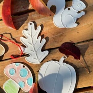 Set 5 forme de toamnă 3D pentru colorat (dovleac, ghindă, frunză, veveriță și ciupercă) reutilizabile și educative pentru copii 9 Set 5 forme de toamnă 3D pentru colorat (dovleac, ghindă, frunză, veveriță și ciupercă) reutilizabile și educative pentru copii - imagine 3